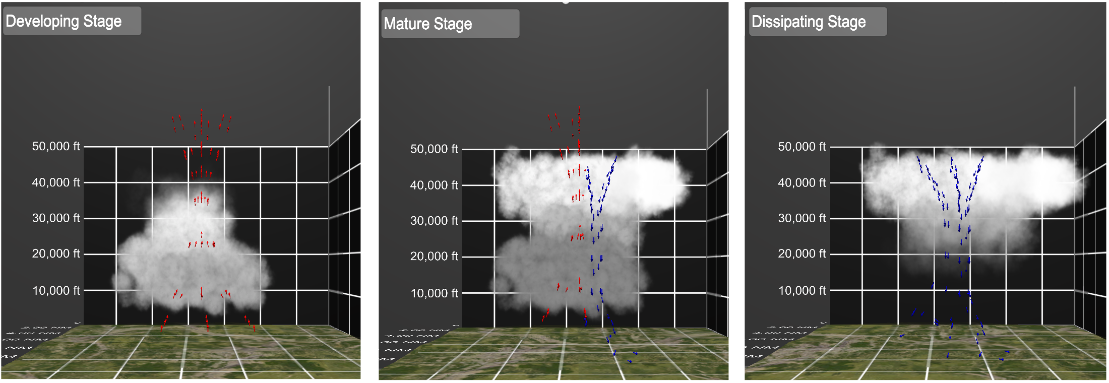 thunderstorm cell lifecycle visualization